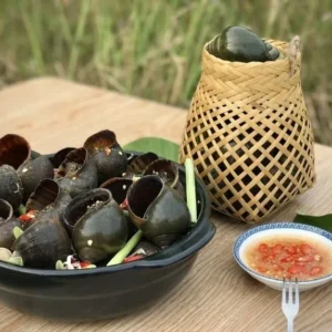 Ốc Gác Bếp