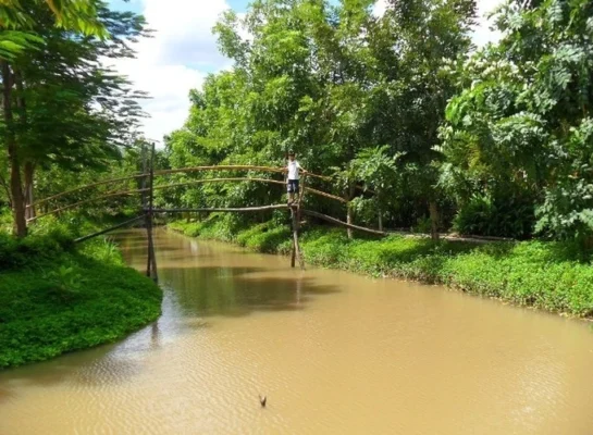 Khám Phá Cầu Khỉ: “Đặc Sản” Kiến Trúc Miền Tây & Câu Chuyện Hạ Tầng
