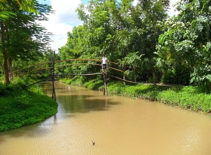 Khám Phá Cầu Khỉ: “Đặc Sản” Kiến Trúc Miền Tây & Câu Chuyện Hạ Tầng