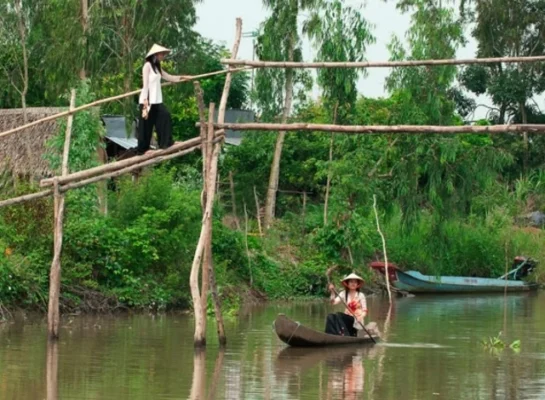 Cầu Khỉ: Biểu Tượng Miền Tây, Thử Thách Can Đảm & Giao Thông Nông Thôn